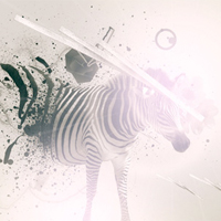 Into the Wild: Awesome Animal Photo-Manipulations