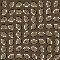 How to Create a Moving Image Optical Illusion