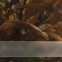 Quick Tip: Add a Frosted Background to Photo Captions
