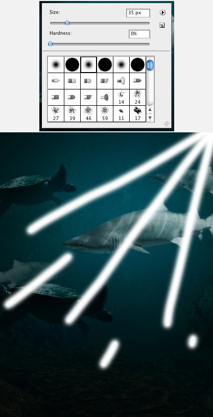 Step22