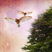 Create a Nature Inspired Photo Manipulation in Photoshop