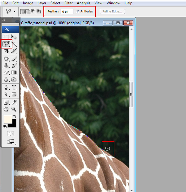 Undress a Giraffe in Photoshop