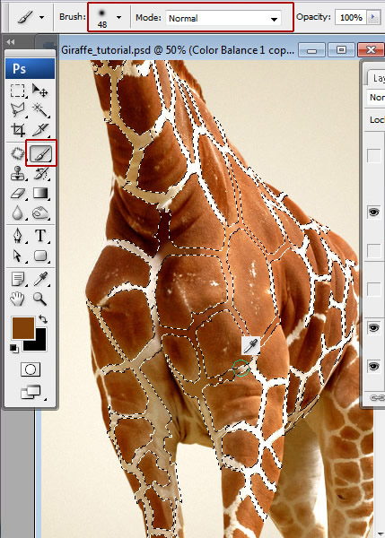 Undress a Giraffe in Photoshop