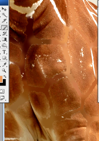 Undress a Giraffe in Photoshop