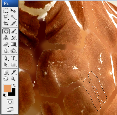 Undress a Giraffe in Photoshop