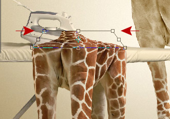 Undress a Giraffe in Photoshop