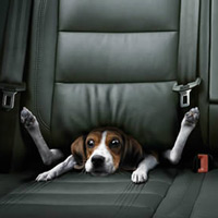 The Photo Manipulations of Christophe Gilbert