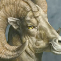 Wacom Illustration Techniques With Patrick LaMontagne