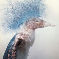 The Impressive Work of Fredrik &Ouml;dman