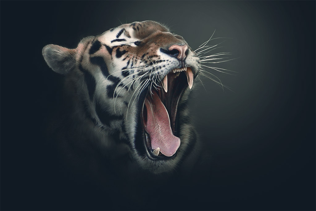 http://d2f8dzk2mhcqts.cloudfront.net/327_Tiger_Tablet/final_large.jpg