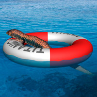 Create 3D Objects by Inflating 2D Photographs in Photoshop CS6 Extended