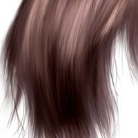 Paint Realistic Hair Using Photoshop