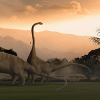 Create a Herd of Grazing Dinosaurs in Photoshop – Psd Premium Tutorial