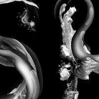 Create Black and White Floral Typography in Photoshop – Psd Premium Tutorial