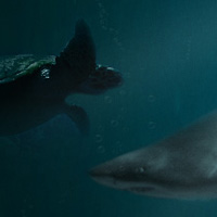 Create an Eerie Underwater Composition in Photoshop – Screencast