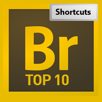 Top 10 Reasons You Should be Using Adobe Bridge